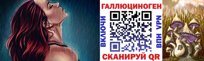 Псилоцибиновые грибы GOLDEN TEACHER  Владимир 